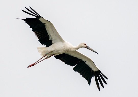 「人々、市民、民衆」が集う居場所人々の集う大きな杜へと育てていく