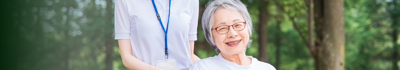 サブビジュアル